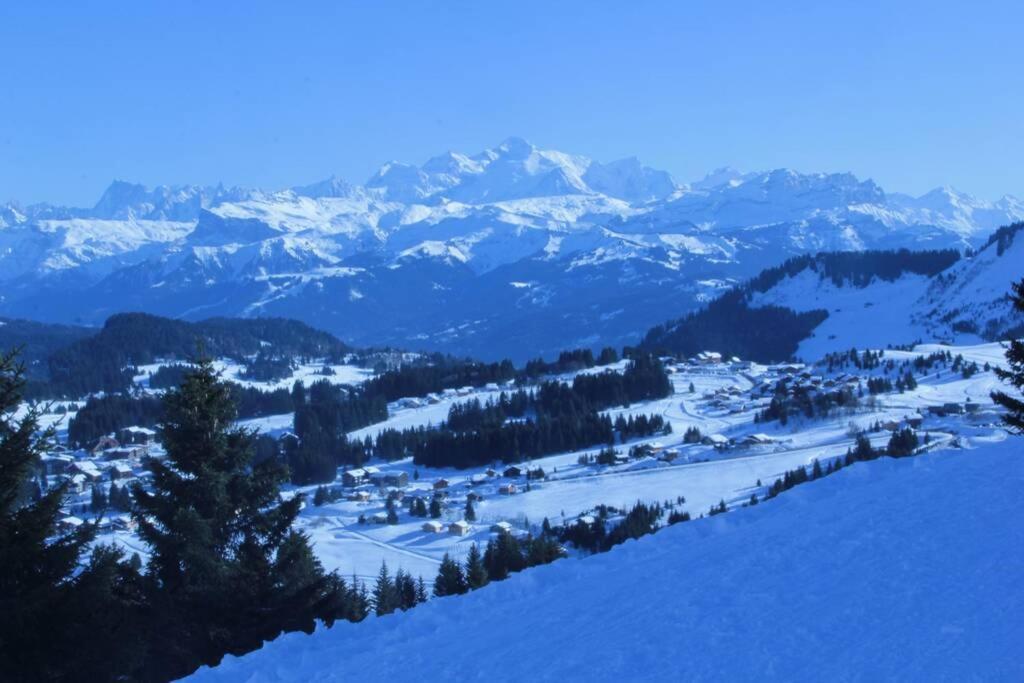 Bel App Aux Gets 10Mn Centre Ski Parking Tennis Prive Les Gets Exteriér fotografie